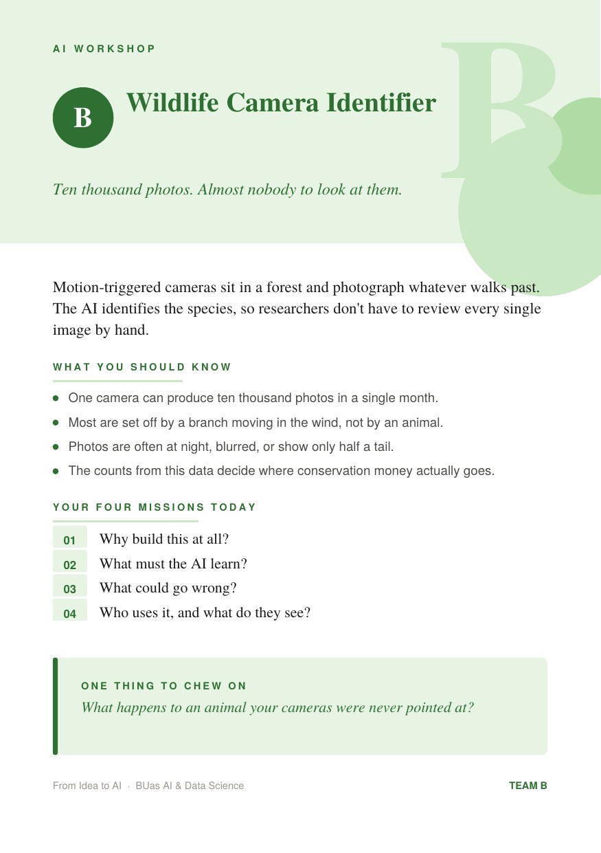 Project card B, Wildlife Camera Identifier
