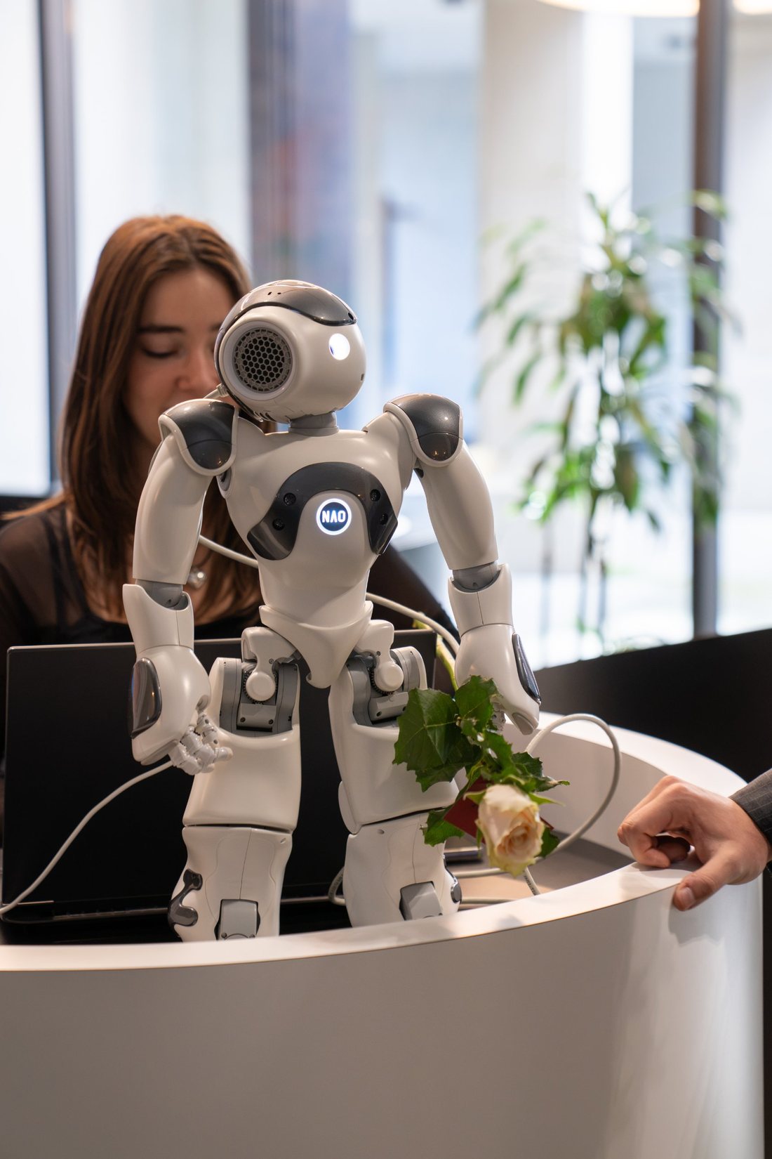 The NAO robot on the desk in front of a laptop